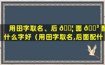 用田字取名、后 🐦 面 🐳 配什么字好（用田字取名,后面配什么字好听一点）